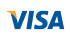 Visa Logo